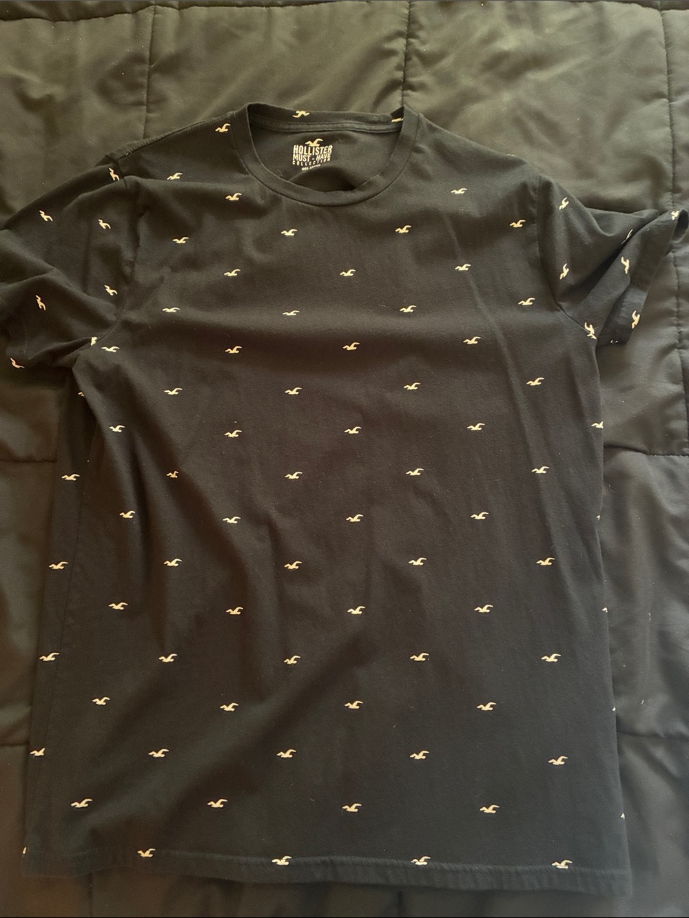 Hollister Black Tee with Small White Seagull Motifs